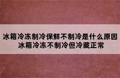 冰箱冷冻制冷保鲜不制冷是什么原因 冰箱冷冻不制冷但冷藏正常